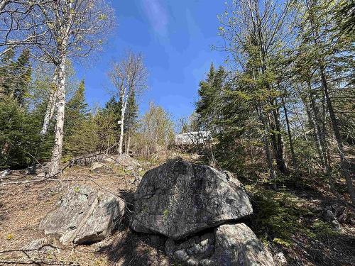 100 Lloyd Johnson Drive, Neebing, ON 