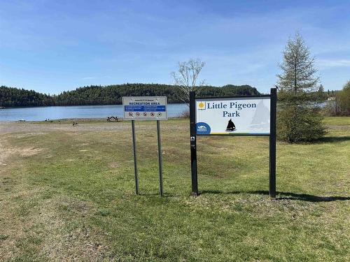 100 Lloyd Johnson Drive, Neebing, ON 