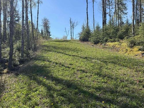 100 Lloyd Johnson Drive, Neebing, ON 