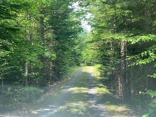 879 Sarsfield Road, Chipman Brook, NS 