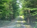 879 Sarsfield Road, Chipman Brook, NS 