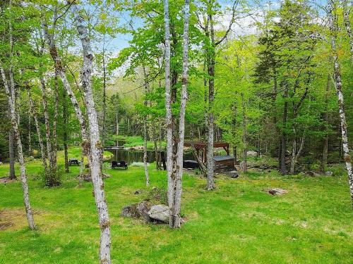 88 Owl Passage, Vaughan, NS 
