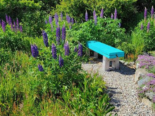 1445 308 Highway, Surette'S Island, NS 
