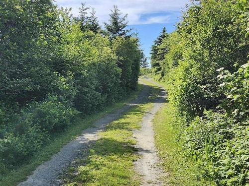 1445 308 Highway, Surette'S Island, NS 