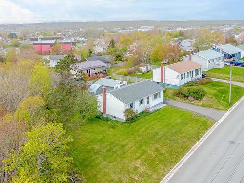 87 Ranna Drive, Sydney, NS 