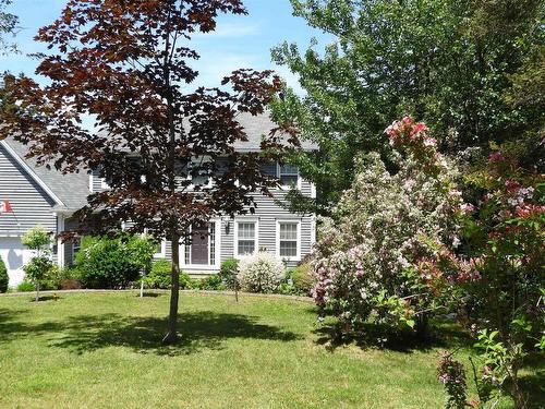 17 Paddys Head Road, Indian Harbour, NS 
