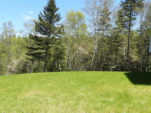 17 Paddys Head Road, Indian Harbour, NS 