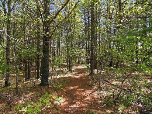 Lot 11 Kinburn Street, Mahone Bay, NS 
