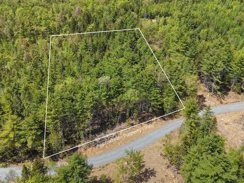 Lot 101 Cleversey Ridge Park, Fauxburg, NS 