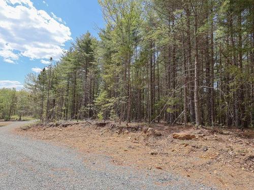 Lot 101 Cleversey Ridge Park, Fauxburg, NS 