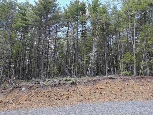 Lot 101 Cleversey Ridge Park, Fauxburg, NS 