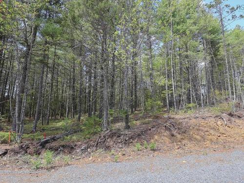 Lot 101 Cleversey Ridge Park, Fauxburg, NS 