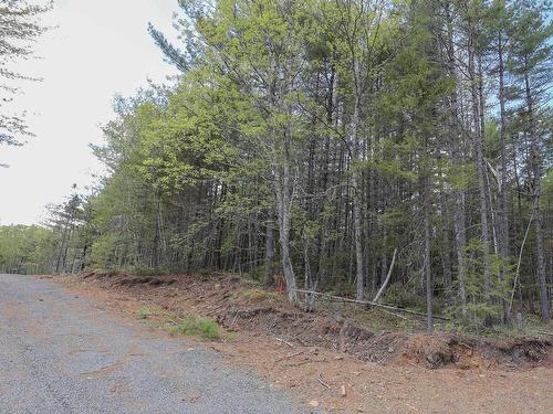 Lot 101 Cleversey Ridge Park, Fauxburg, NS 