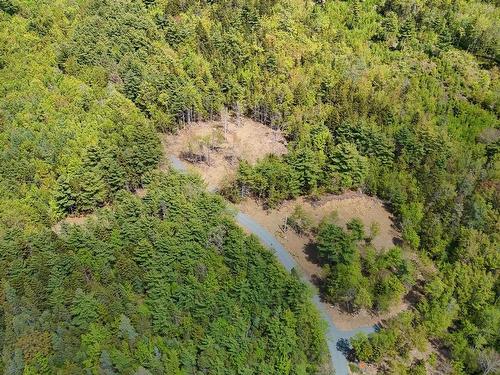 Lot 101 Cleversey Ridge Park, Fauxburg, NS 