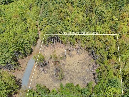 Lot 107 Cleversey Ridge Park, Fauxburg, NS 