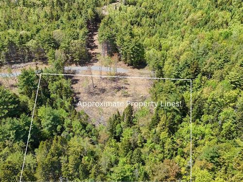Lot 107 Cleversey Ridge Park, Fauxburg, NS 