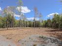 Lot 107 Cleversey Ridge Park, Fauxburg, NS 
