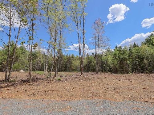 Lot 107 Cleversey Ridge Park, Fauxburg, NS 