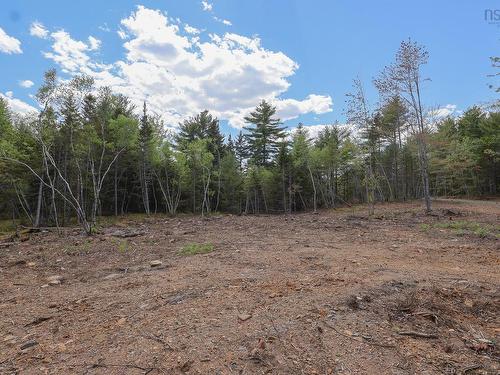 Lot 107 Cleversey Ridge Park, Fauxburg, NS 