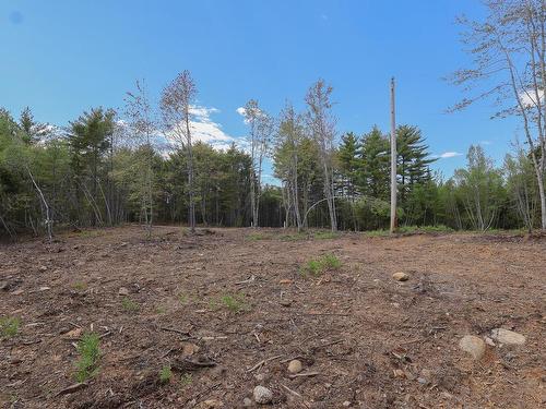 Lot 107 Cleversey Ridge Park, Fauxburg, NS 