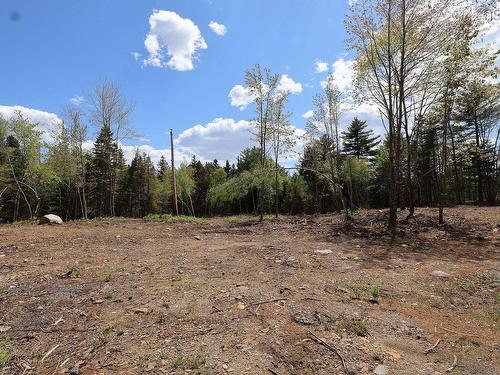 Lot 107 Cleversey Ridge Park, Fauxburg, NS 