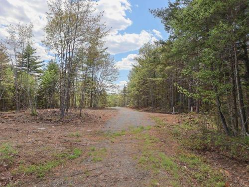 Lot 107 Cleversey Ridge Park, Fauxburg, NS 