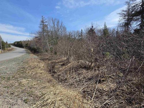 Malcolms Road, Albert Bridge, NS 