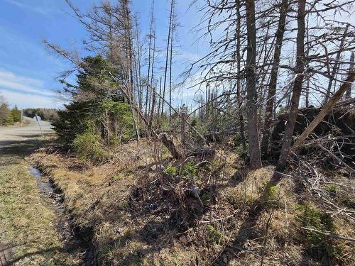 Malcolms Road, Albert Bridge, NS 