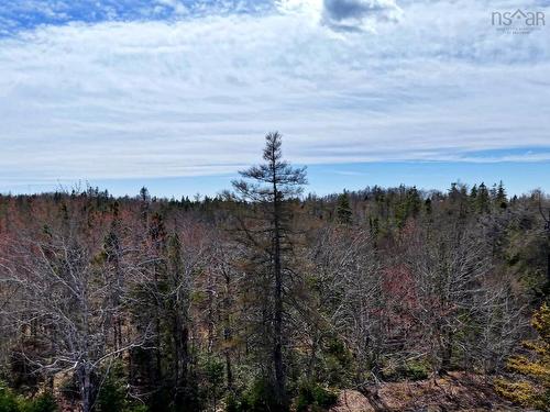 Malcolms Road, Albert Bridge, NS 