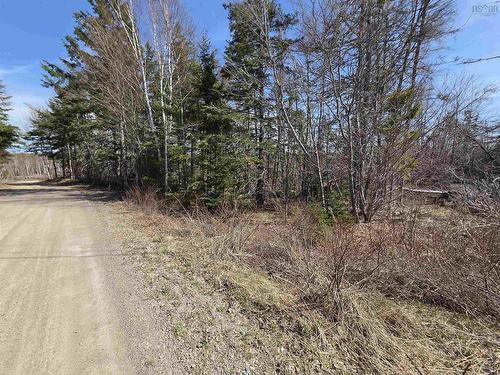 Malcolms Road, Albert Bridge, NS 