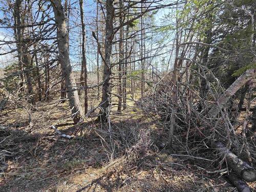 Malcolms Road, Albert Bridge, NS 