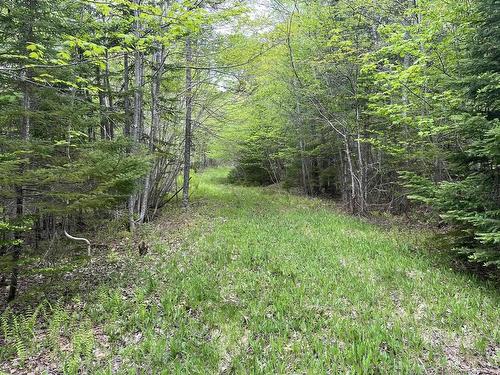 Land Locust Street, Brooklyn, NS 