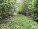 Land Locust Street, Brooklyn, NS 