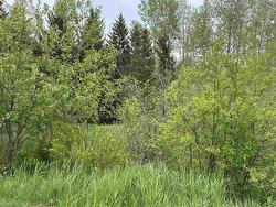 Lot Old Row Road Thorburn, NS B0K 1W0