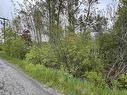 Lot Old Row Road, Thorburn, NS 