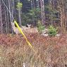 9124 Upper Clyde Road, Welshtown, NS 