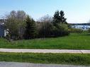 99-1 Pepperell Street, St. Peter'S, NS 
