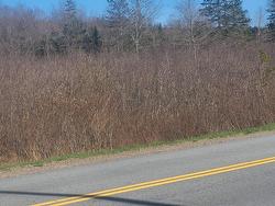 178 Trout Brook Road  Colchester, NS B0K 1V0