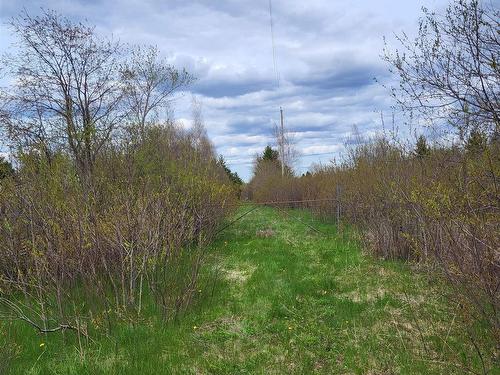178 Trout Brook Road, Colchester, NS 