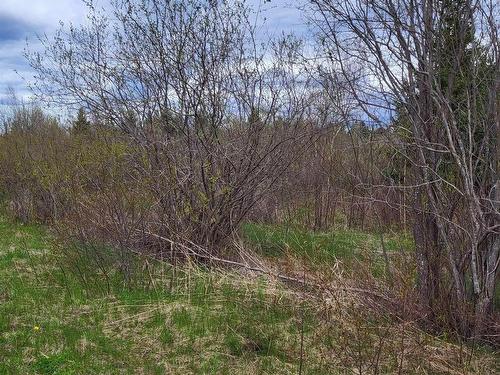 178 Trout Brook Road, Colchester, NS 
