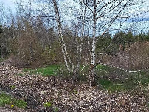 178 Trout Brook Road, Colchester, NS 