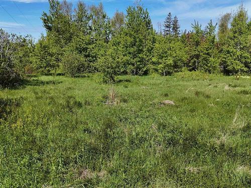 3492 Dock Road, Campbellton, PE 