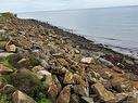 Lot Route 955, Murray Corner, NB 