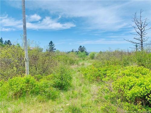 183 Narrows Rd, Welshpool, NB 