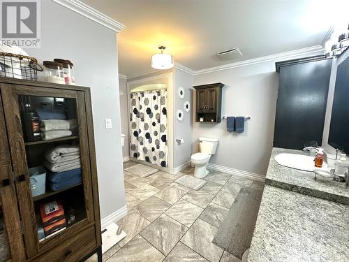 26 Pardy Place, Grand Falls - Windsor, NL - Indoor Photo Showing Bathroom