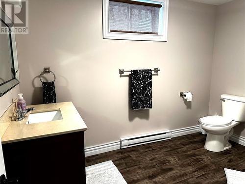 26 Pardy Place, Grand Falls - Windsor, NL - Indoor Photo Showing Bathroom