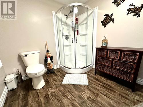 26 Pardy Place, Grand Falls - Windsor, NL - Indoor Photo Showing Bathroom