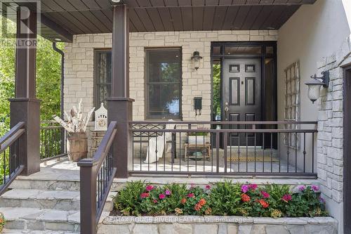 30 Springbank Avenue, Toronto, ON 