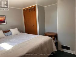 lower level bedroom - 