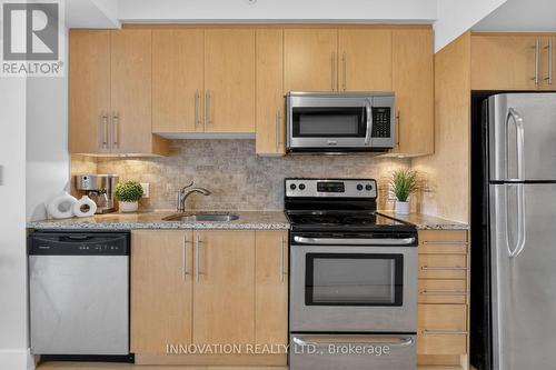 307 - 390 Booth Street, Ottawa, ON 